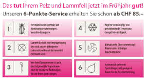 6-Punkte-Service
